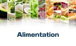 Commerces alimentation