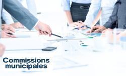 Conseil municipal (3)