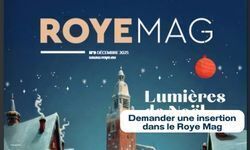 demander insertion Roye mag