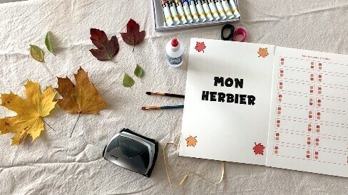 Fabrique ton herbier 2025