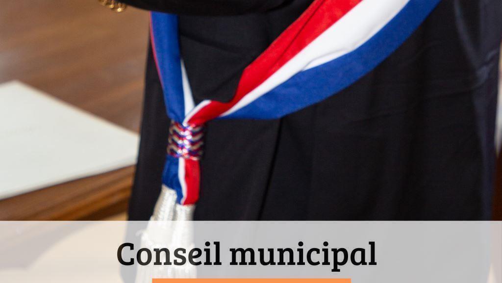 icone conseil municipal