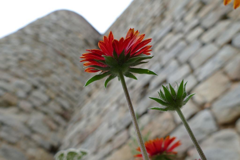 Remparts de Roye