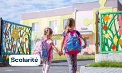 Scolarité