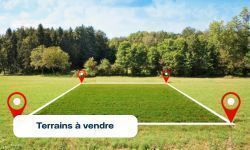 Terrains à vendre