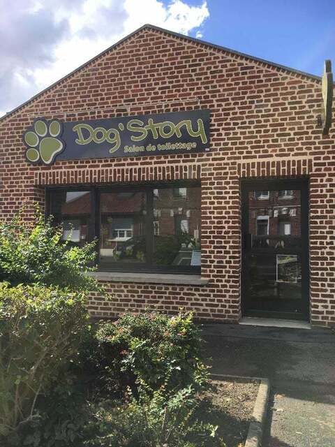 dog'story