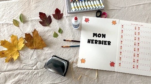 Fabrique ton herbier 2025
