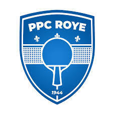 Logo Ping Pong Roye